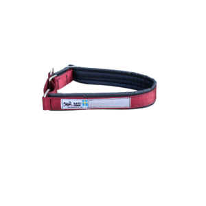 Collier pour chien (bordeaux)