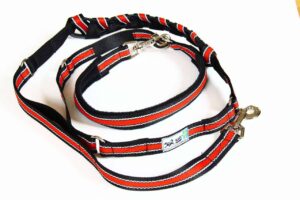 laisse pour chien