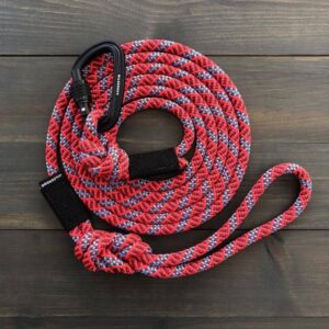Laisse pour chien (rouge)