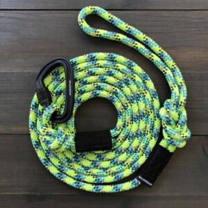 Laisse pour chien (jaune citron)