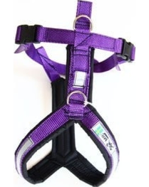 Trekkinggeschirr violett