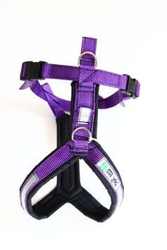 Harnais de trekking pour chien (violet)