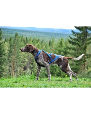 Dogsport X-Back Zuggeschirr reflex blau
