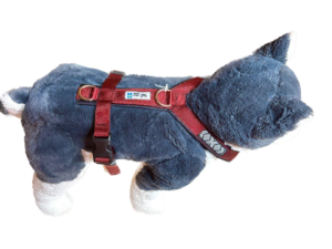 Harnais de trekking pour chien (bordeaux)