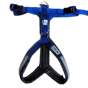 Harnais de trekking pour chien (bleu)