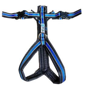 Harnais de trekking pour chien (bleu réfléchissant)