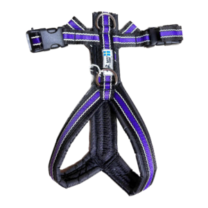 Harnais de trekking pour chien (violet réfléchissant)