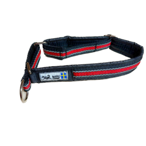 Collier pour chien (rouge réfléchissant)
