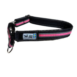 Collier pour chien (rose réfléchissant)