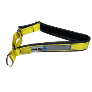 Collier pour chien (jaune)