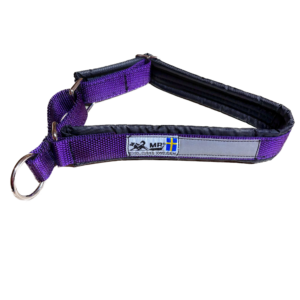 Collier pour chien (violet)