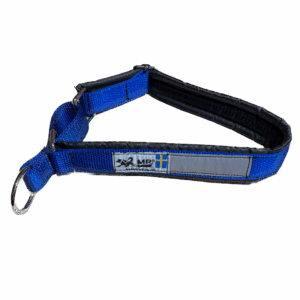 Collier pour chien (bleu)