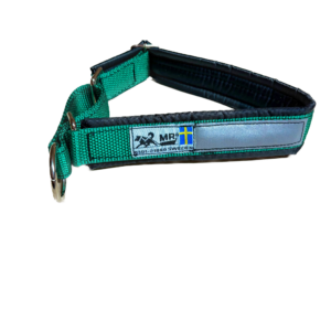 Collier pour chien (vert)